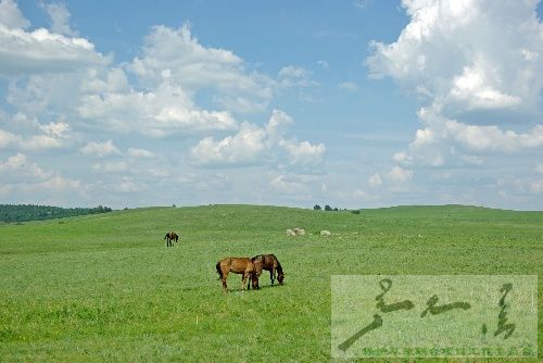 11605c82f47[1].jpg