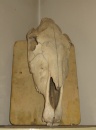111ec0575f2.jpg