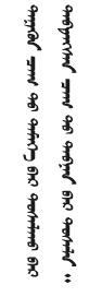 temee3.jpg