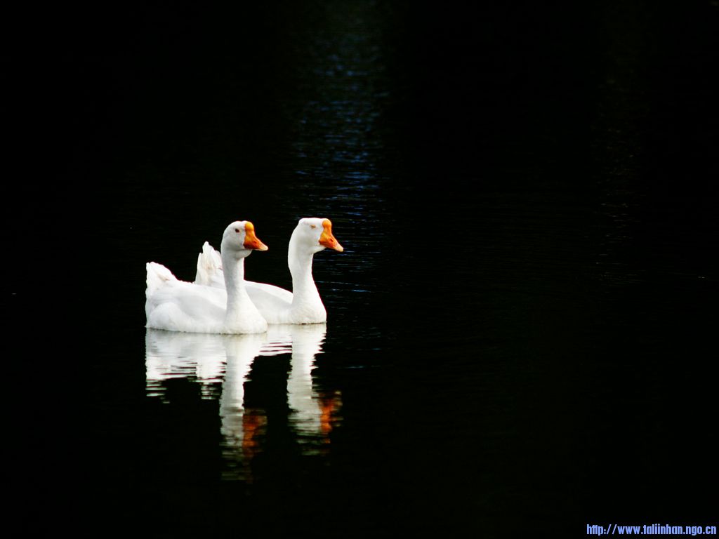 ��Ƭ 078.jpg