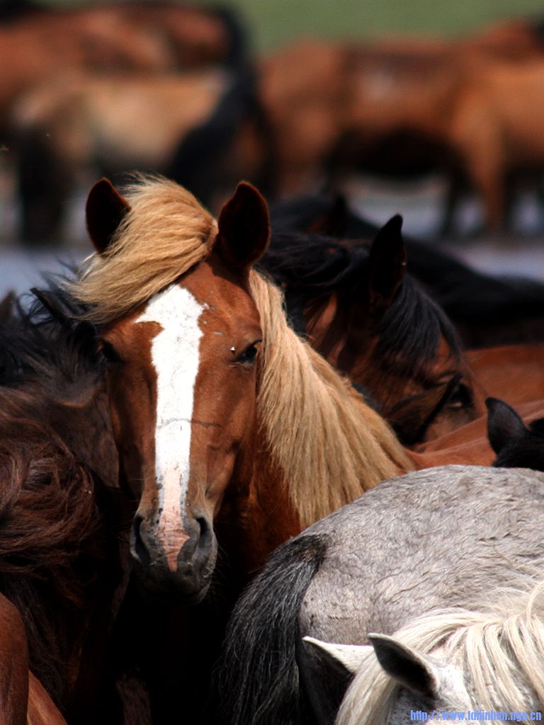 IMG_1102.jpg