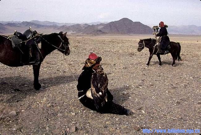 Ha45.jpg