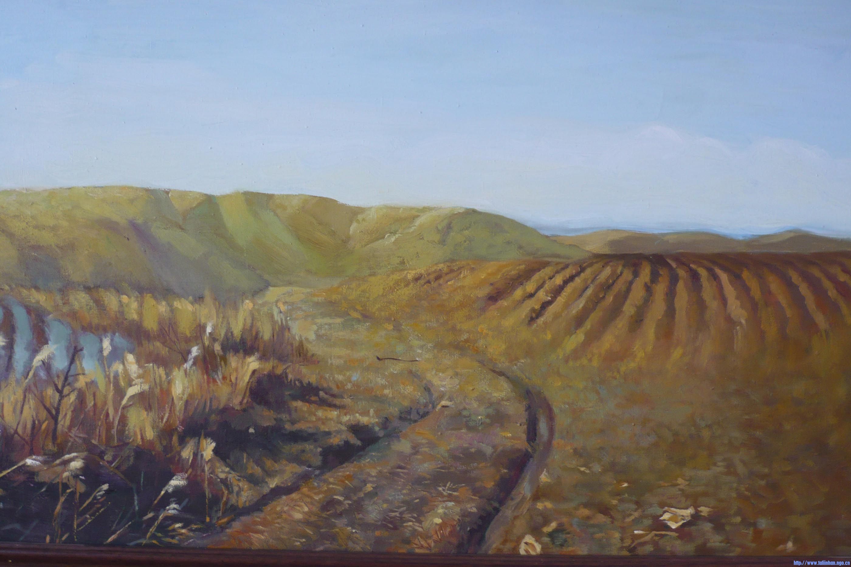 P1000243.jpg