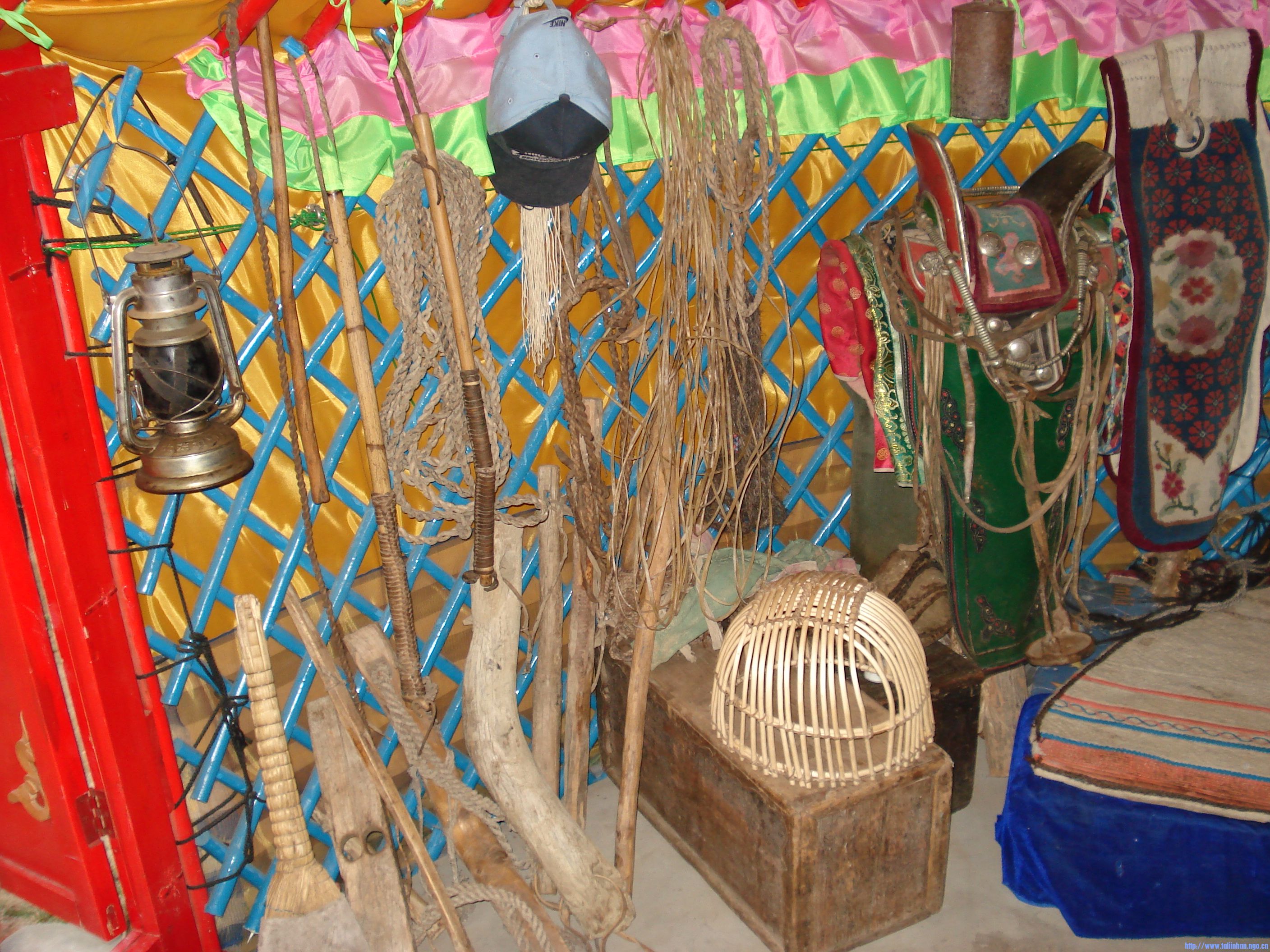 DSC01110.JPG