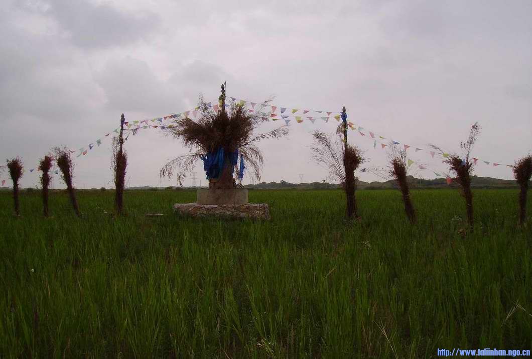 gazar ovoo.jpg