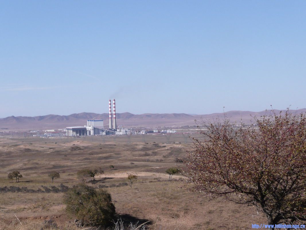 Զ������-2.jpg