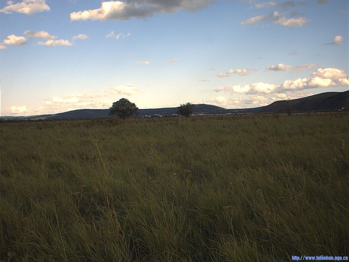 adsc0040.jpg