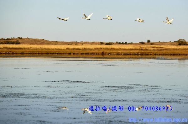 _U9Y7635_nEO_IMG_nEO_IMG.jpg