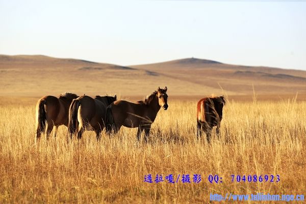 _U9Y7343_nEO_IMG_nEO_IMG.jpg