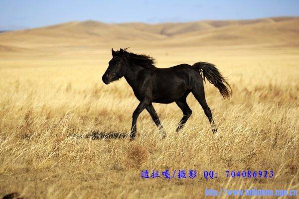 _U9Y9572_nEO_IMG_nEO_IMG.jpg