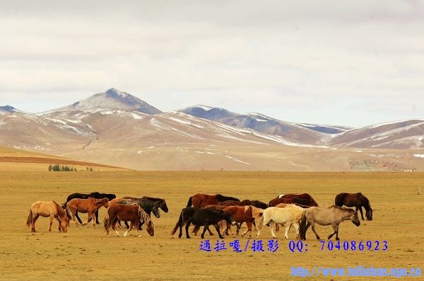 _U9Y8733_nEO_IMG_nEO_IMG.jpg