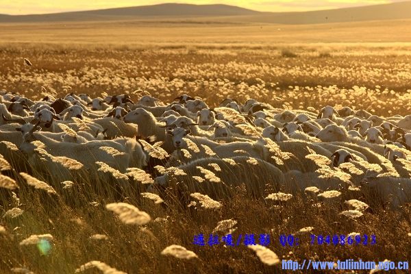_U9Y8894_nEO_IMG_nEO_IMG.jpg