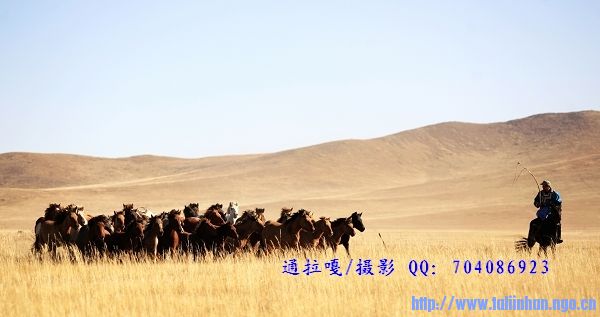 _U9Y9671_nEO_IMG_nEO_IMG.jpg
