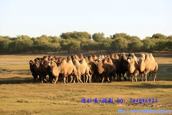_U9Y7683_nEO_IMG_nEO_IMG.jpg
