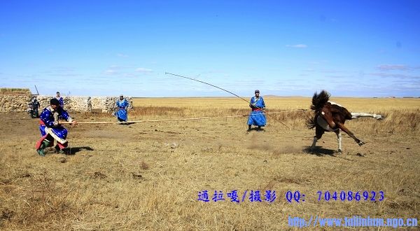 _U9Y9511_nEO_IMG_nEO_IMG.jpg