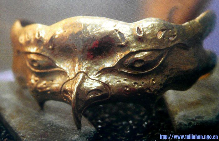d9.jpg