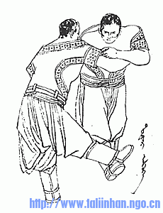 dotor.gif