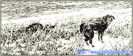 082[1].gif