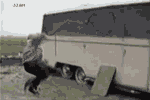 δ����.gif