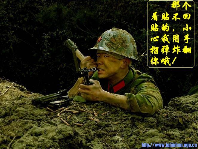 ding5.jpg