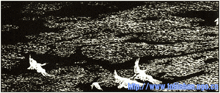 002[1].gif