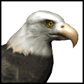 eagle2.gif