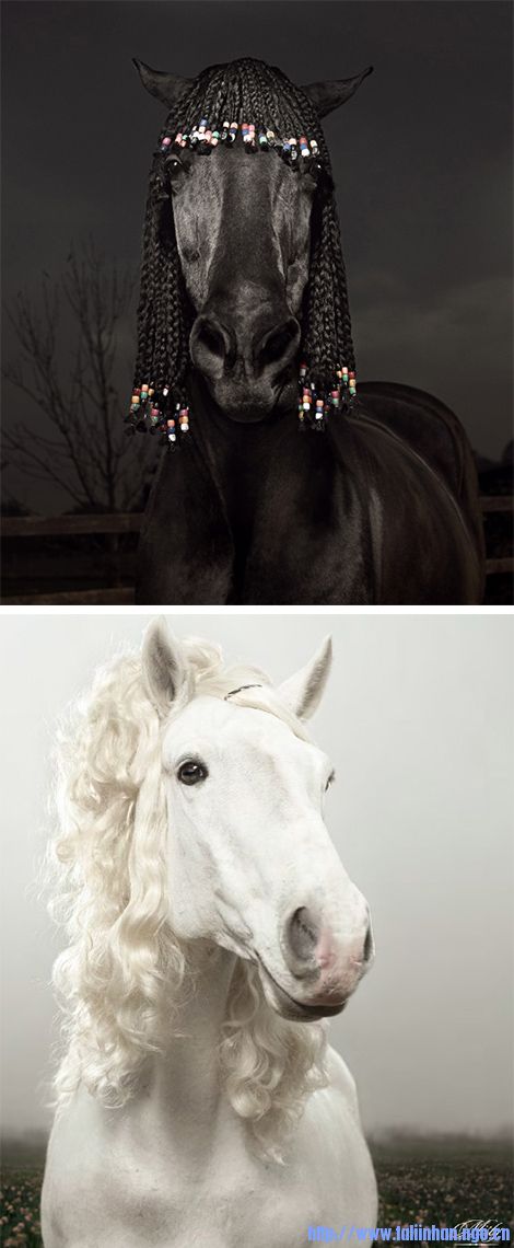 Petty-Horse.jpg