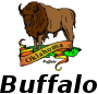 buffalo.png
