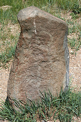 2441149704_cc9c026d88_m.jpg