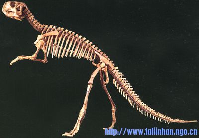 kl-10.jpg