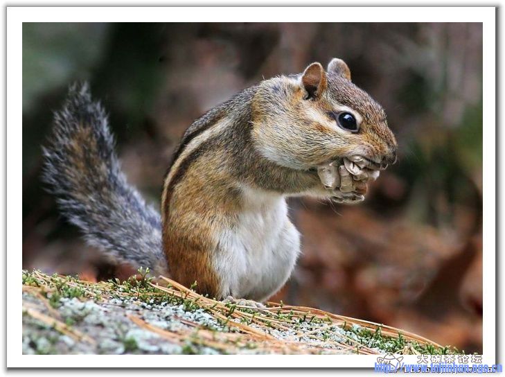 20090104_3fe5b71a6f8800cae9efSstVyrrpb2Dc.jpg