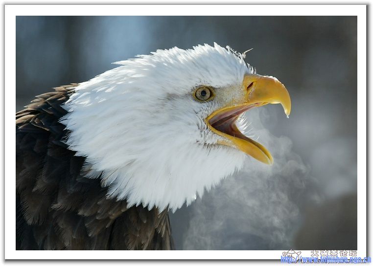20090104_6a30006fe0e0be1eeb0eCzcOh8qClDE2.jpg