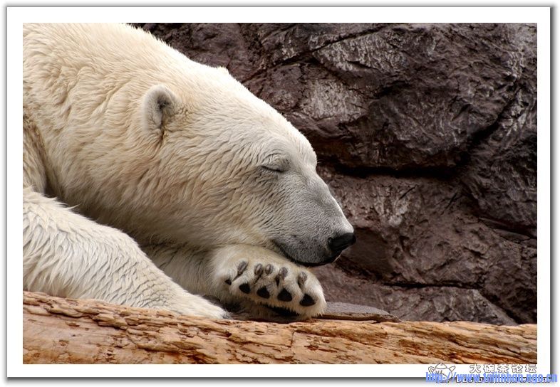 20090104_99cd60c3b2712ae1574ayV0FWHCuwcaZ.jpg