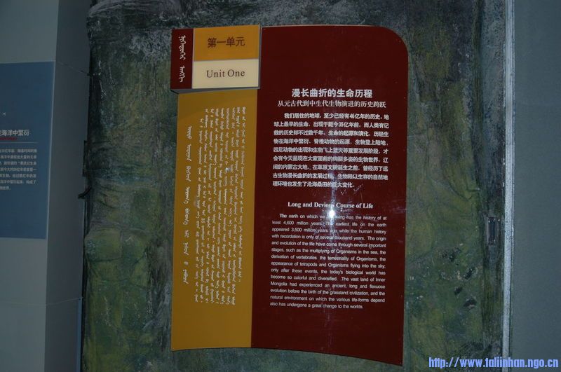 e1b057374981c6c7a2cc2b60.jpg