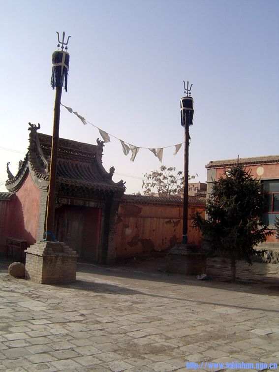 DSC03516.jpg