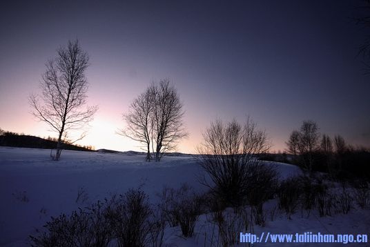 IMG_4571.jpg