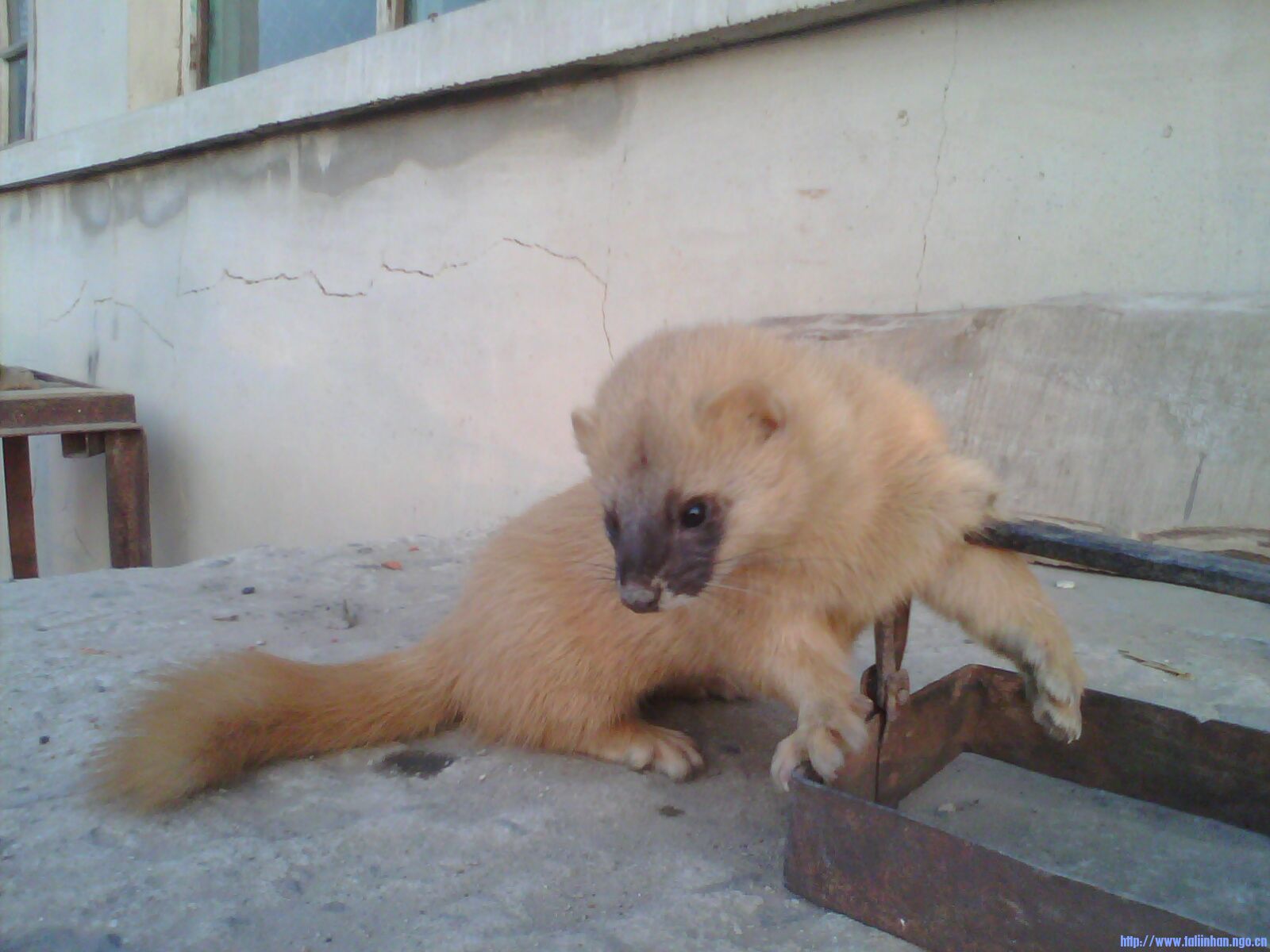 IMG0064A.jpg