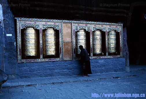 20080315_3ba38c34c1f665d3d569OUVk1vTmQFTI.jpg