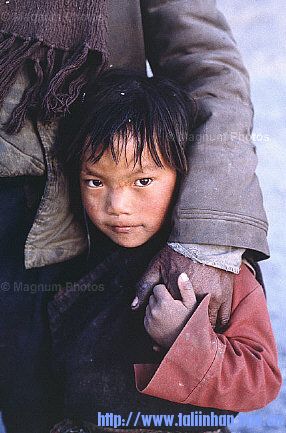 20080315_568d8b4eddaaf8de807fmGPSbcNAqRmV.jpg