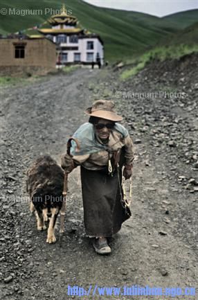 20080315_8c64ab44c420e7ee6243EwopvBvnD7F0.jpg
