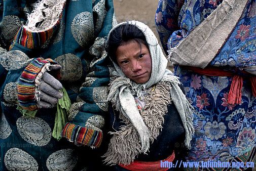 20080315_15532adb0479ab0afd1cPSKUBBnS4cs4.jpg