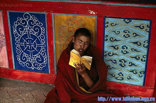 20080315_6a296f1271e30e85640fGre2GhYg5x9E.jpg