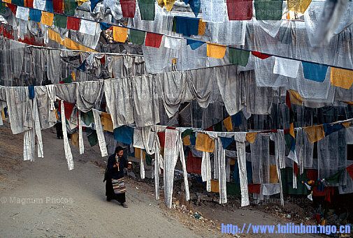 20080315_5fb5868d32d60c979521edzxuMLBaO4u.jpg