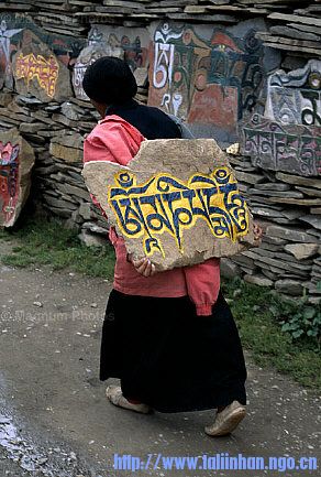 20080315_66043bdb4dbf20a870cdiSKlSqM8quLb.jpg