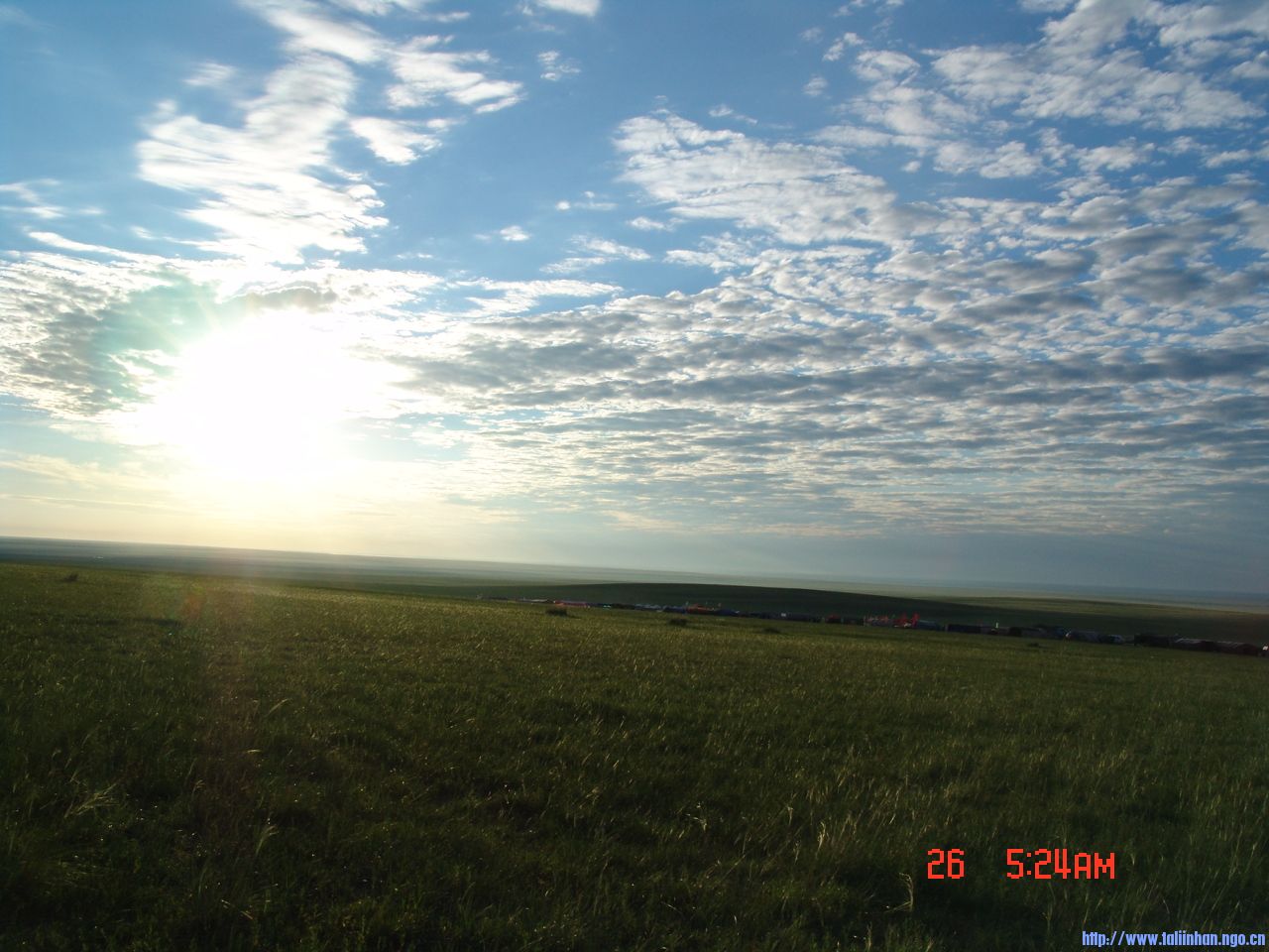 DSC08675.JPG