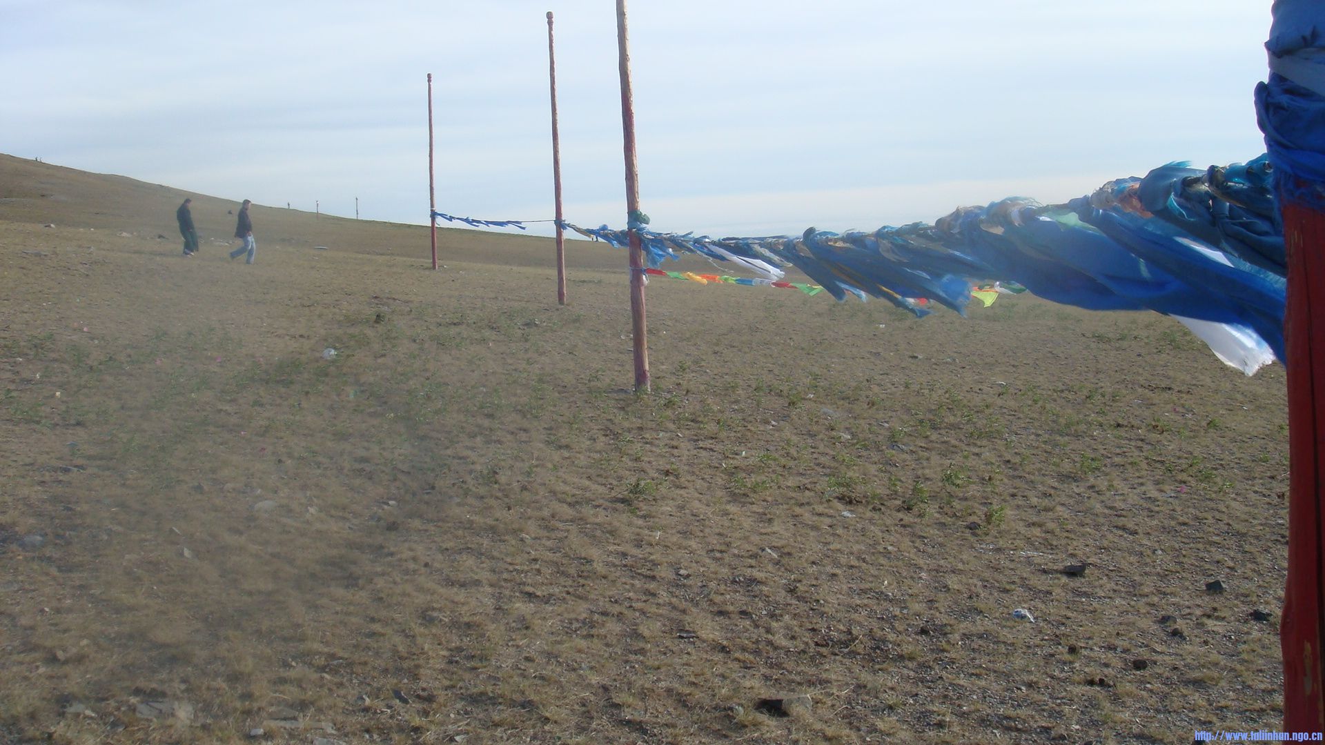 DSC07832.JPG