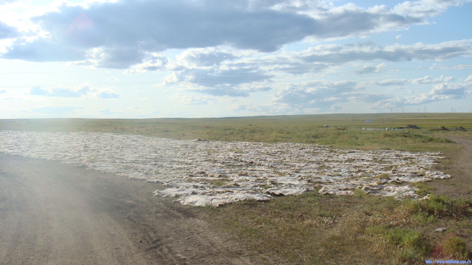 DSC07714.JPG