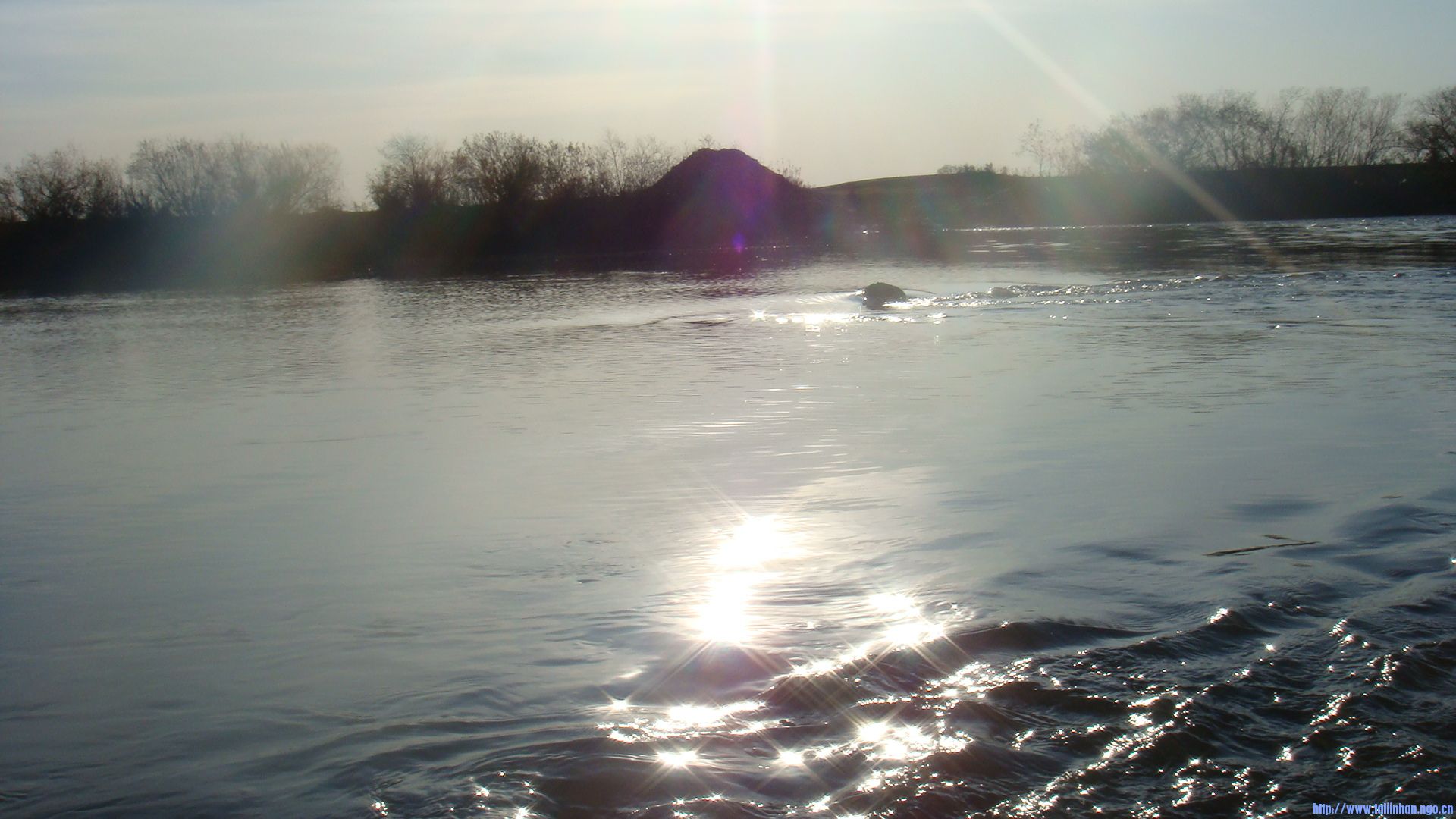 DSC08891.JPG