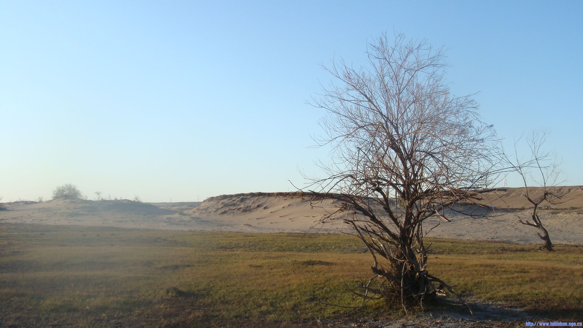 DSC08960.JPG