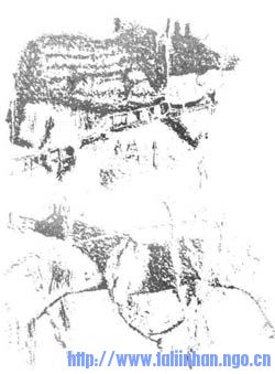 Sibir_02.jpg